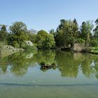 Blick über den großen Teich im Botanischen Garten