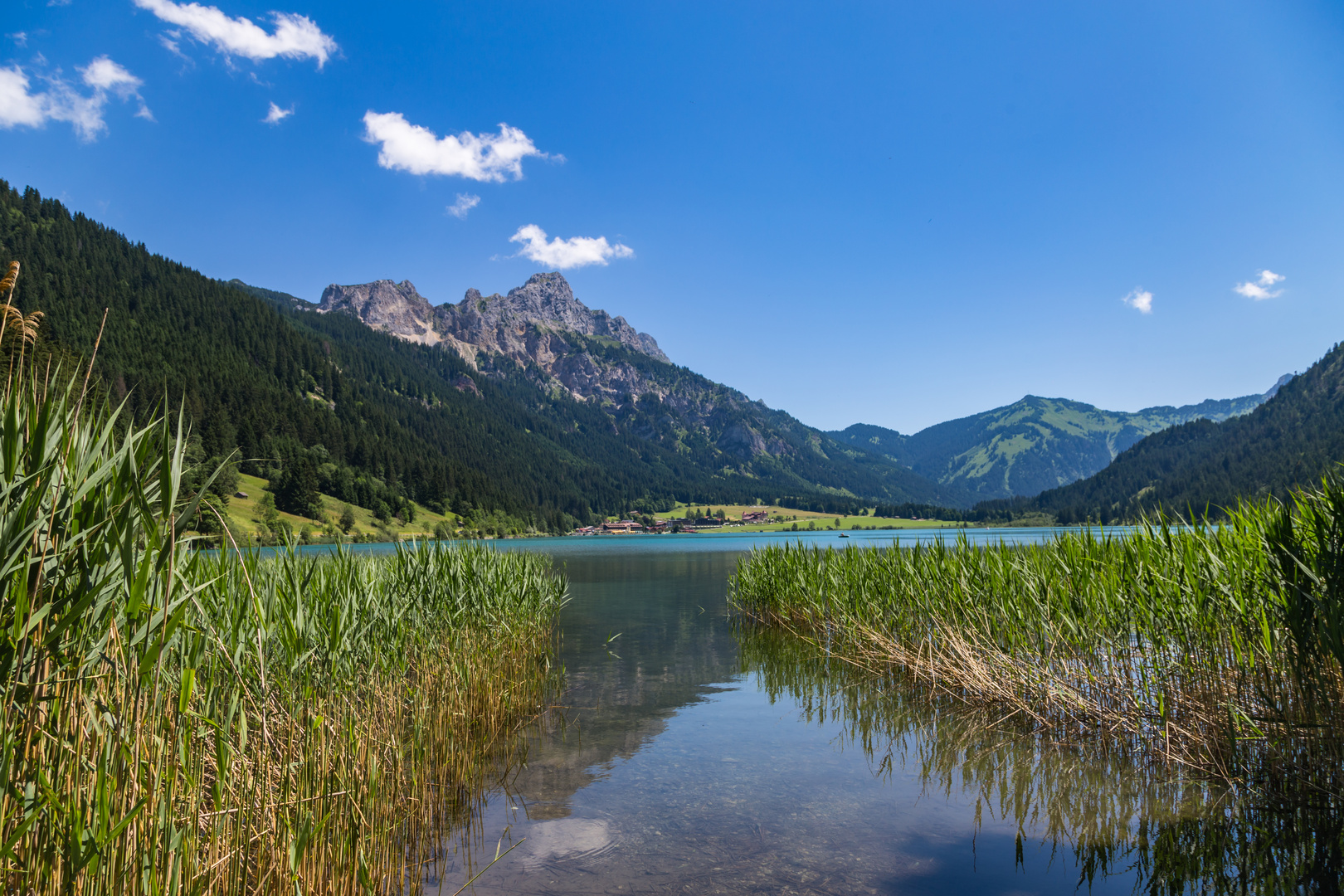 Blick über den Haldensee