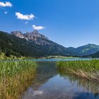 Blick über den Haldensee