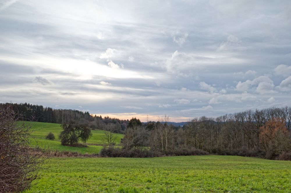 Blick über den Hangarder Flur