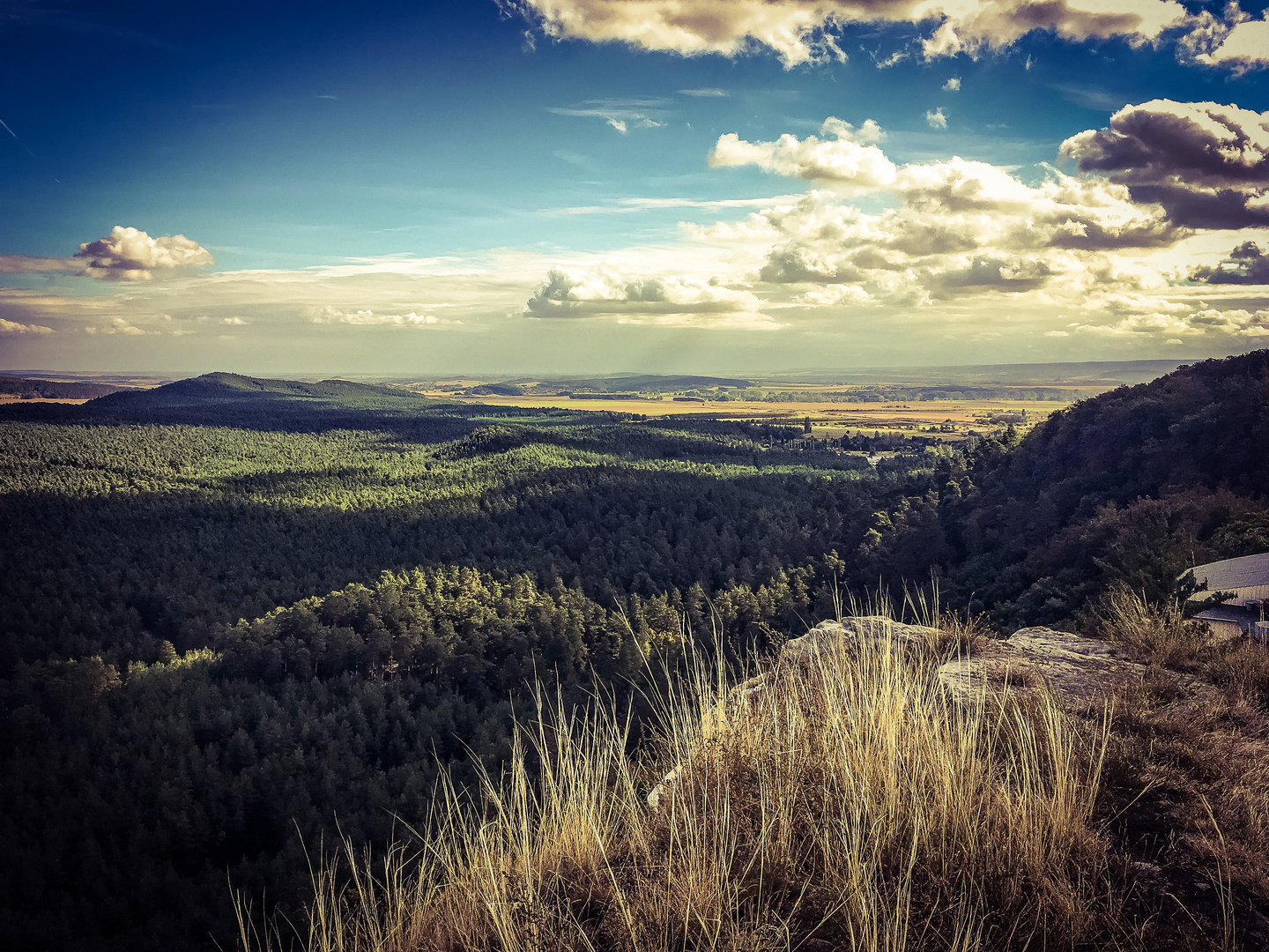 Blick über den Harz