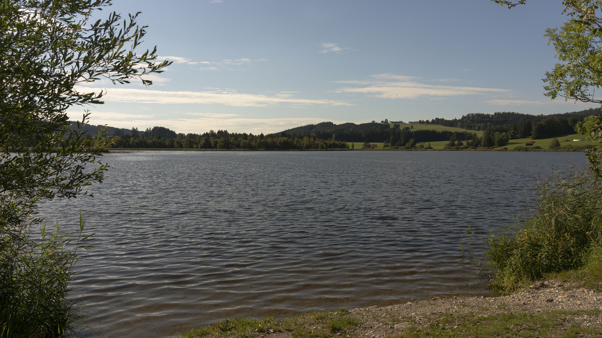 Blick über den Haslacher See am Auerberg