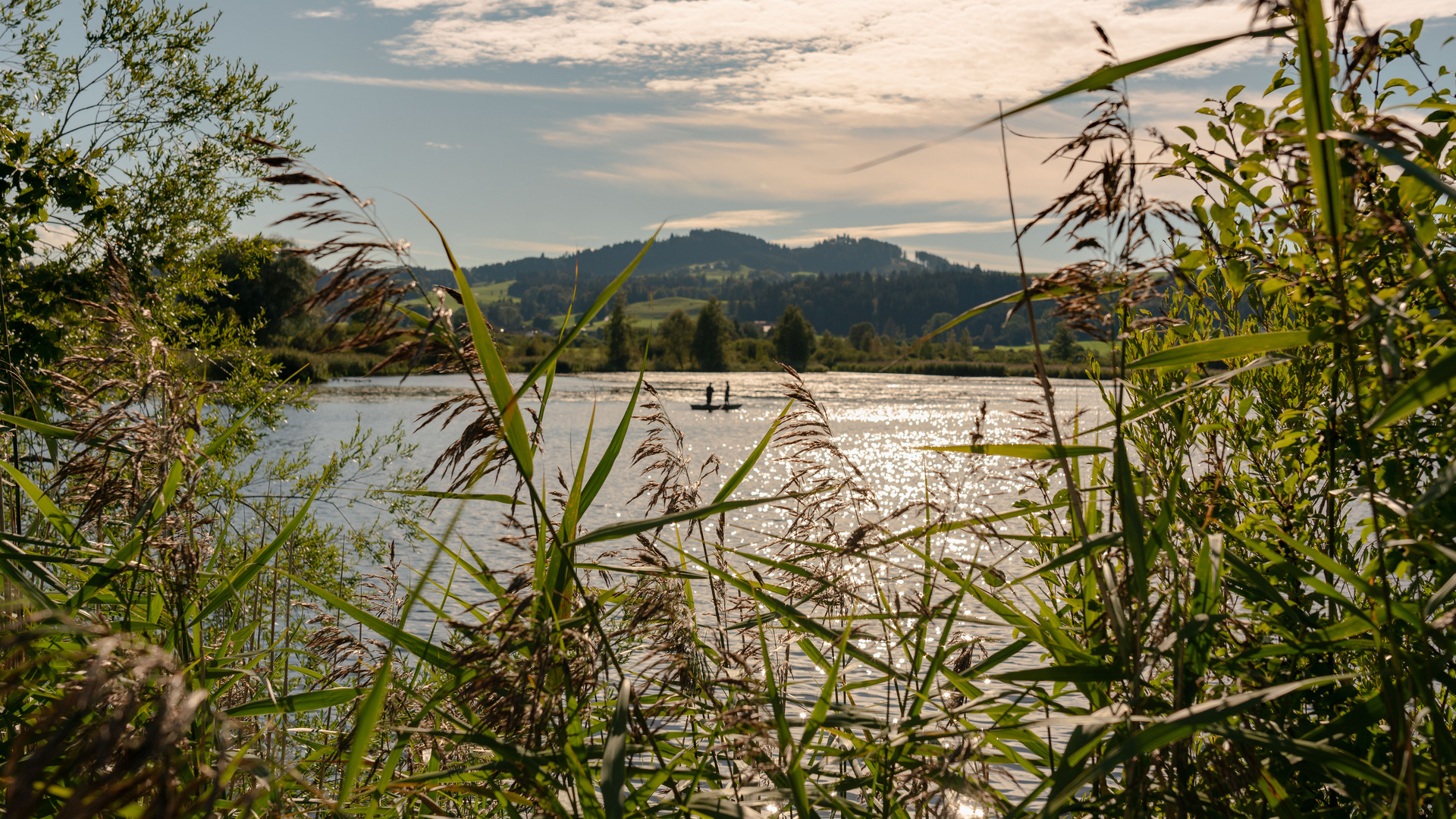 Blick über den Haslacher See am Auerberg