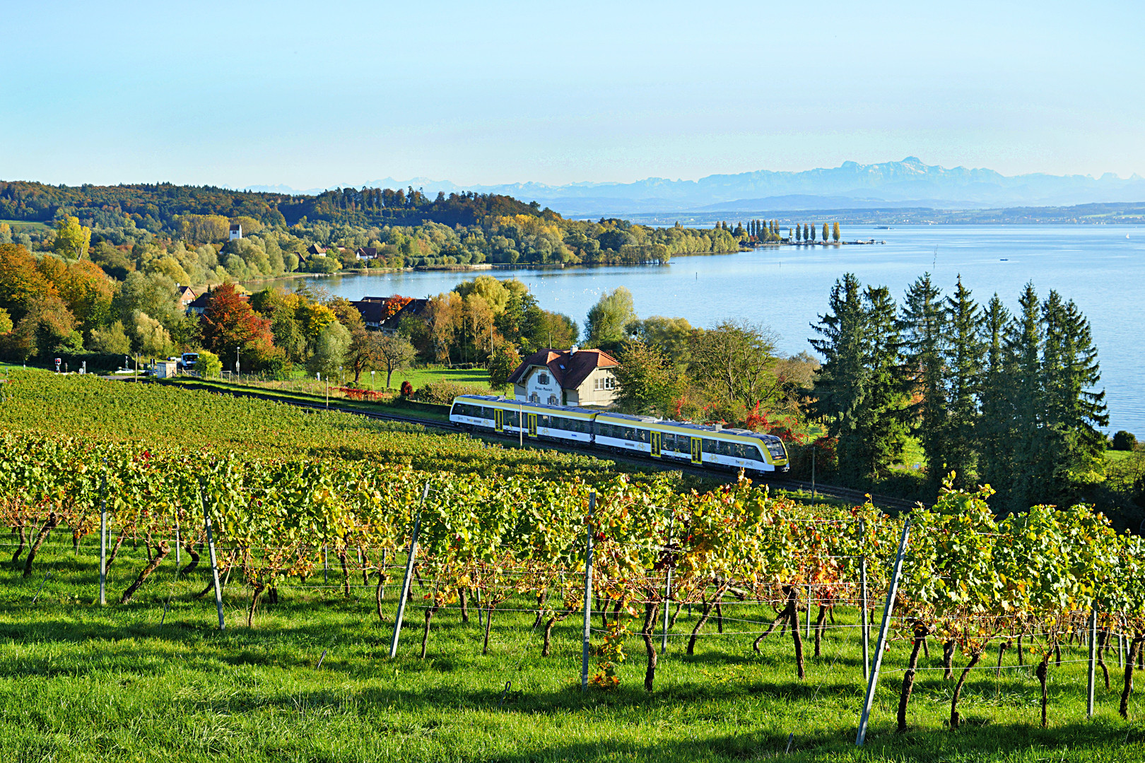  Blick über den herbstlichen Bodensee bei Birnau mit SWEG 622 Birnau