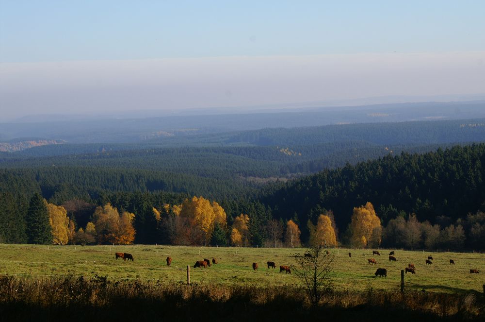 Blick über den herbstlichen Harz