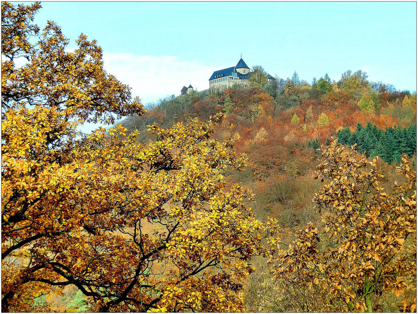 Blick über den Herbstwald