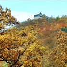 Blick über den Herbstwald