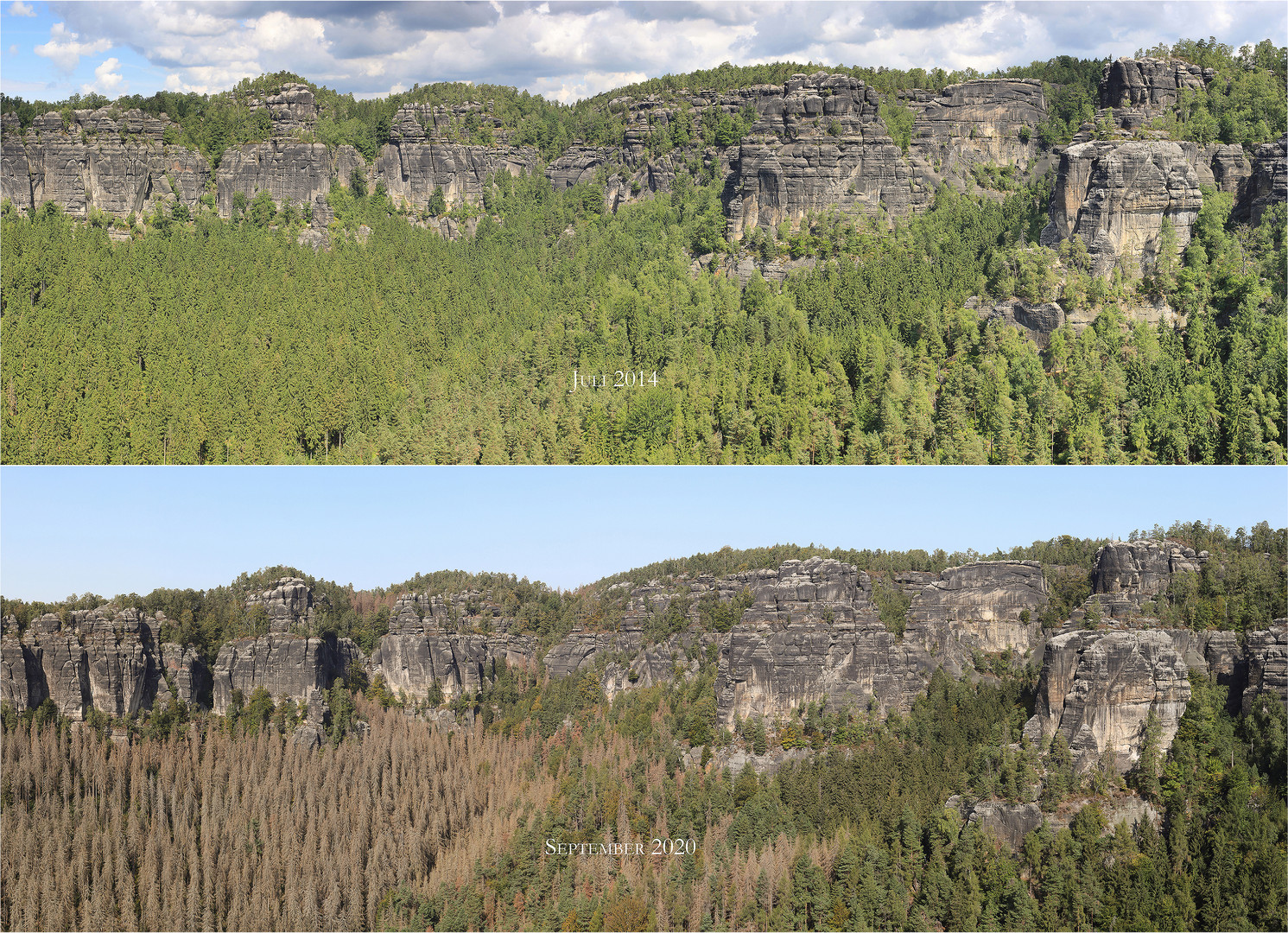 Blick über den Heringsgrund