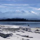 Blick über den Hopfensee