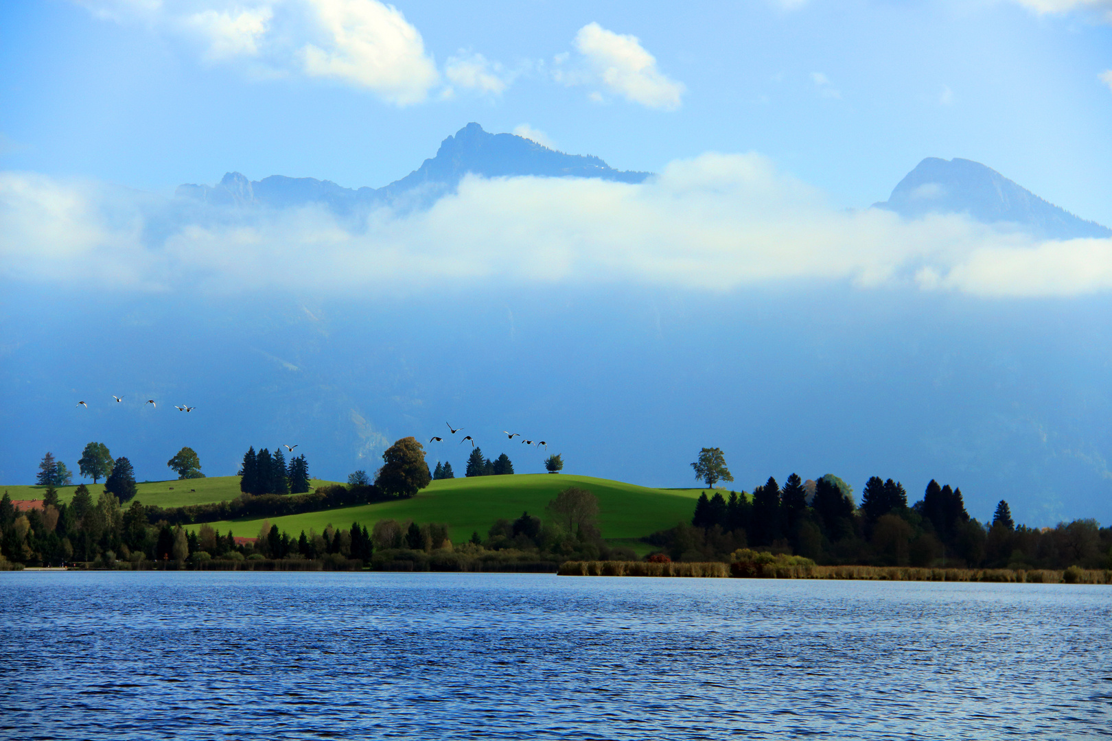 Blick über den Hopfensee im Allgäu