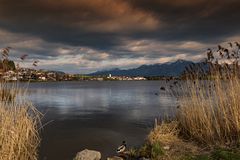 Blick über den Hopfensee oder Erpel sucht Frau 