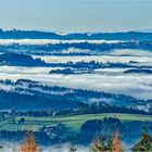 Blick über den Ilznebel