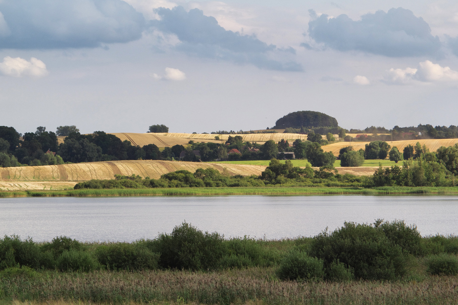 Blick über den Inselsee