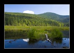 Blick über den kleinen Arber-See hoch zum großen Arber