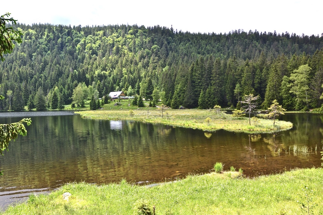 Blick über den Kleinen Arbersee…