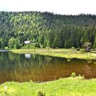 Blick über den Kleinen Arbersee…