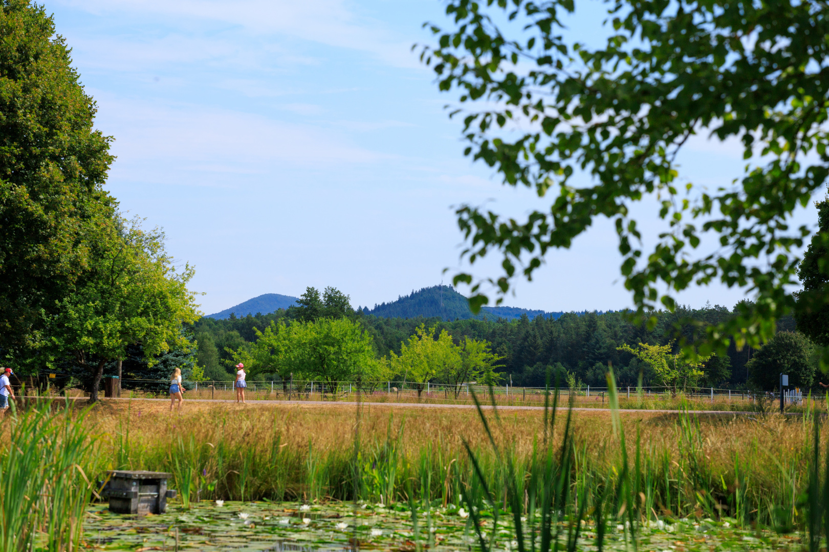 Blick über den Kurpark