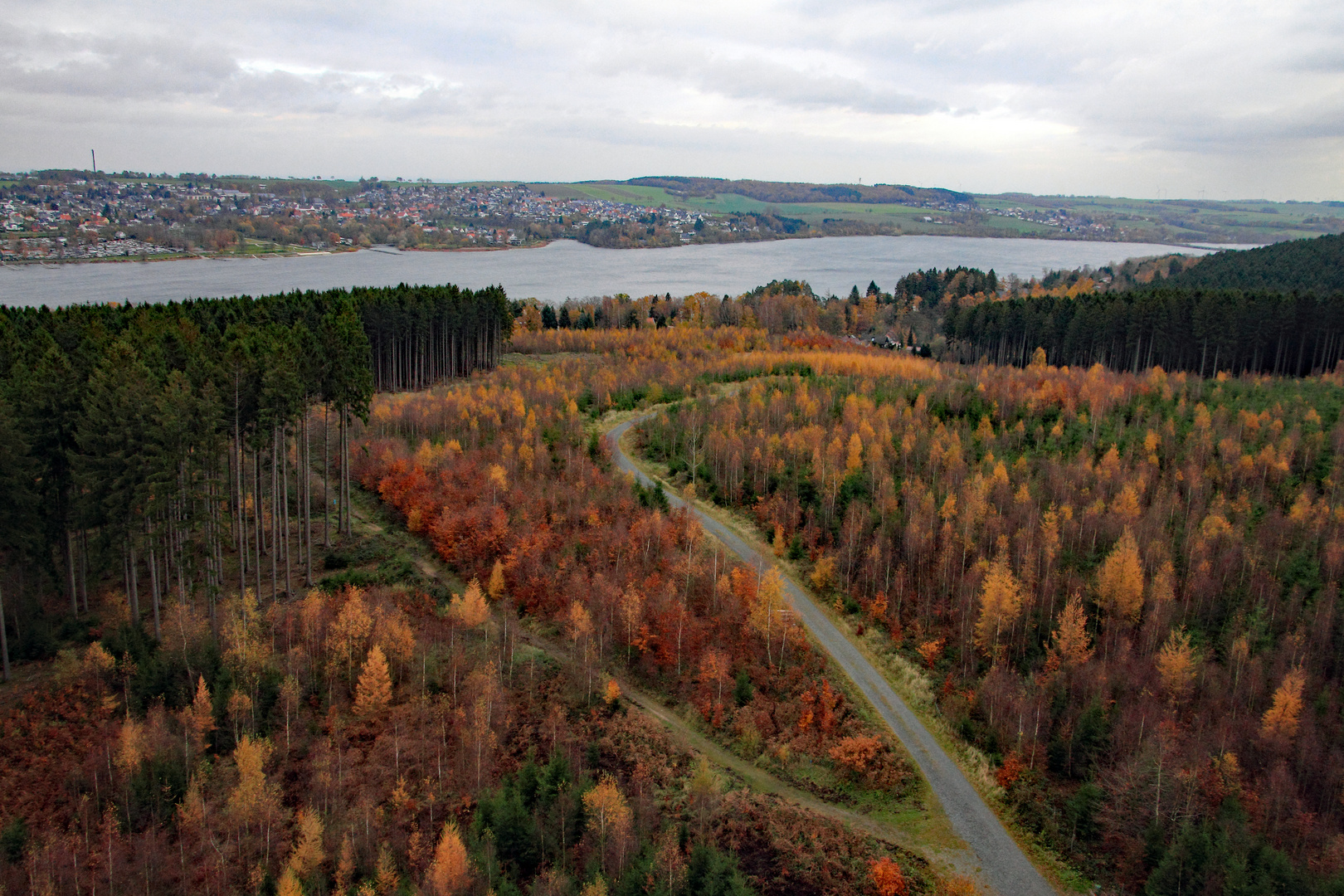 Blick über den Lärchenwald