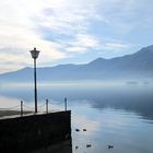 Blick über den Lago Magiore in Ascona