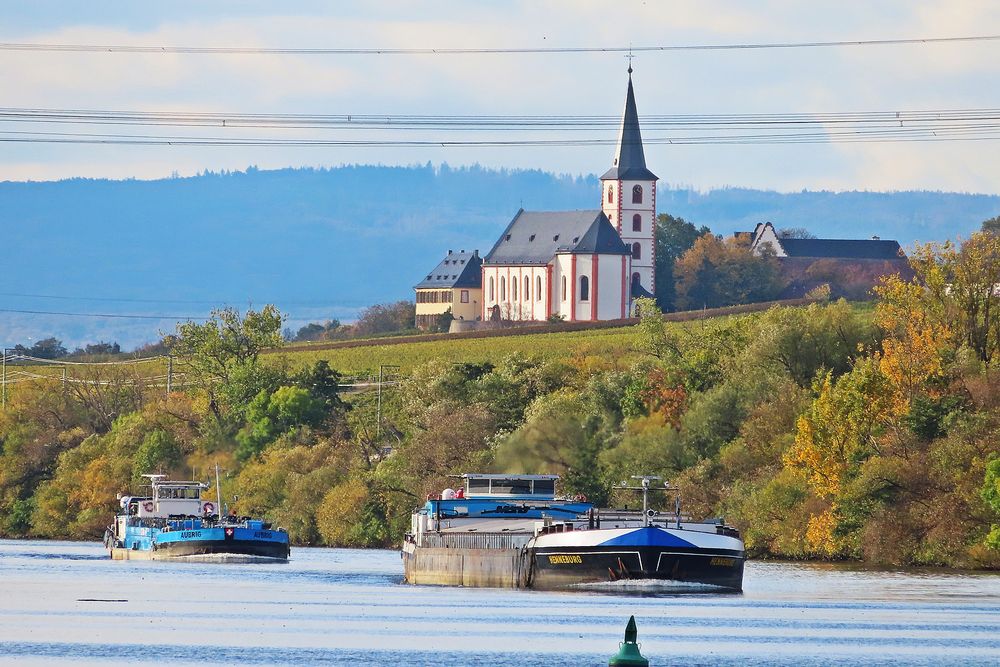 Blick über den Main bei Rüsselsheim