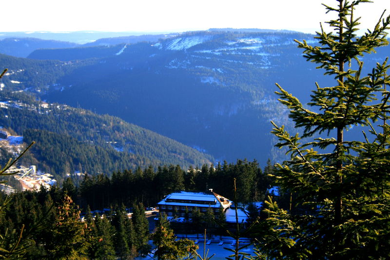 Blick über den Mummelsee