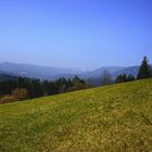 Blick über den Nationalpark Schwarzwald zur Hornisgrinde