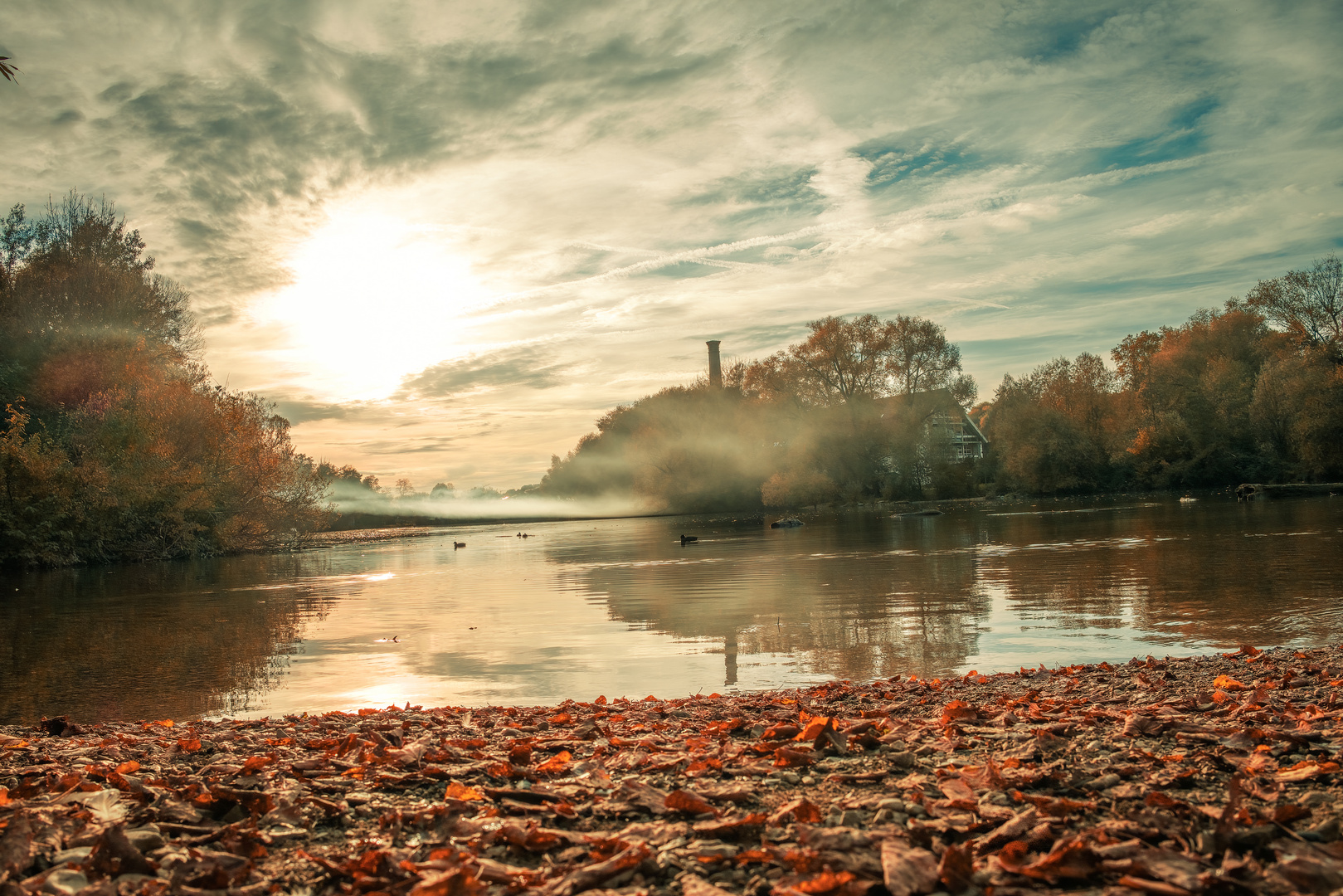 Blick über den Neckar