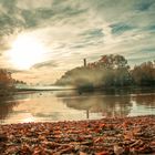 Blick über den Neckar