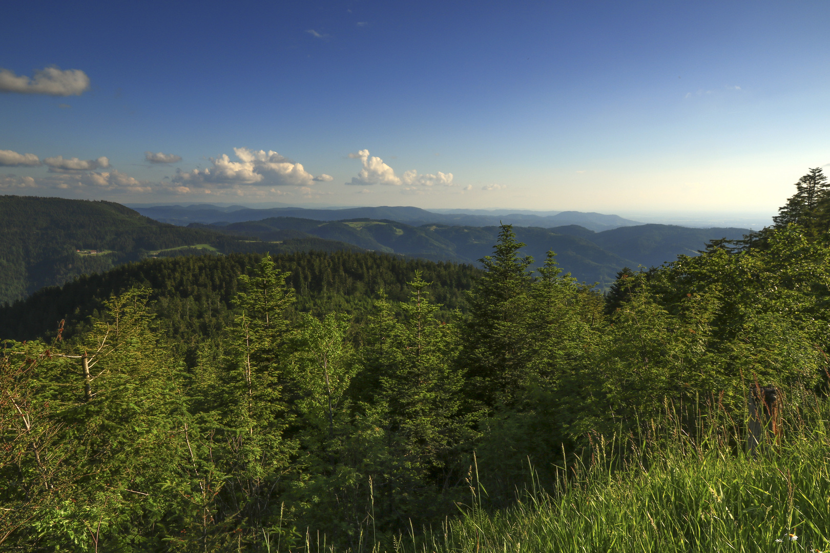 Blick über den nördlichen Schwarzwald