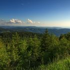 Blick über den nördlichen Schwarzwald