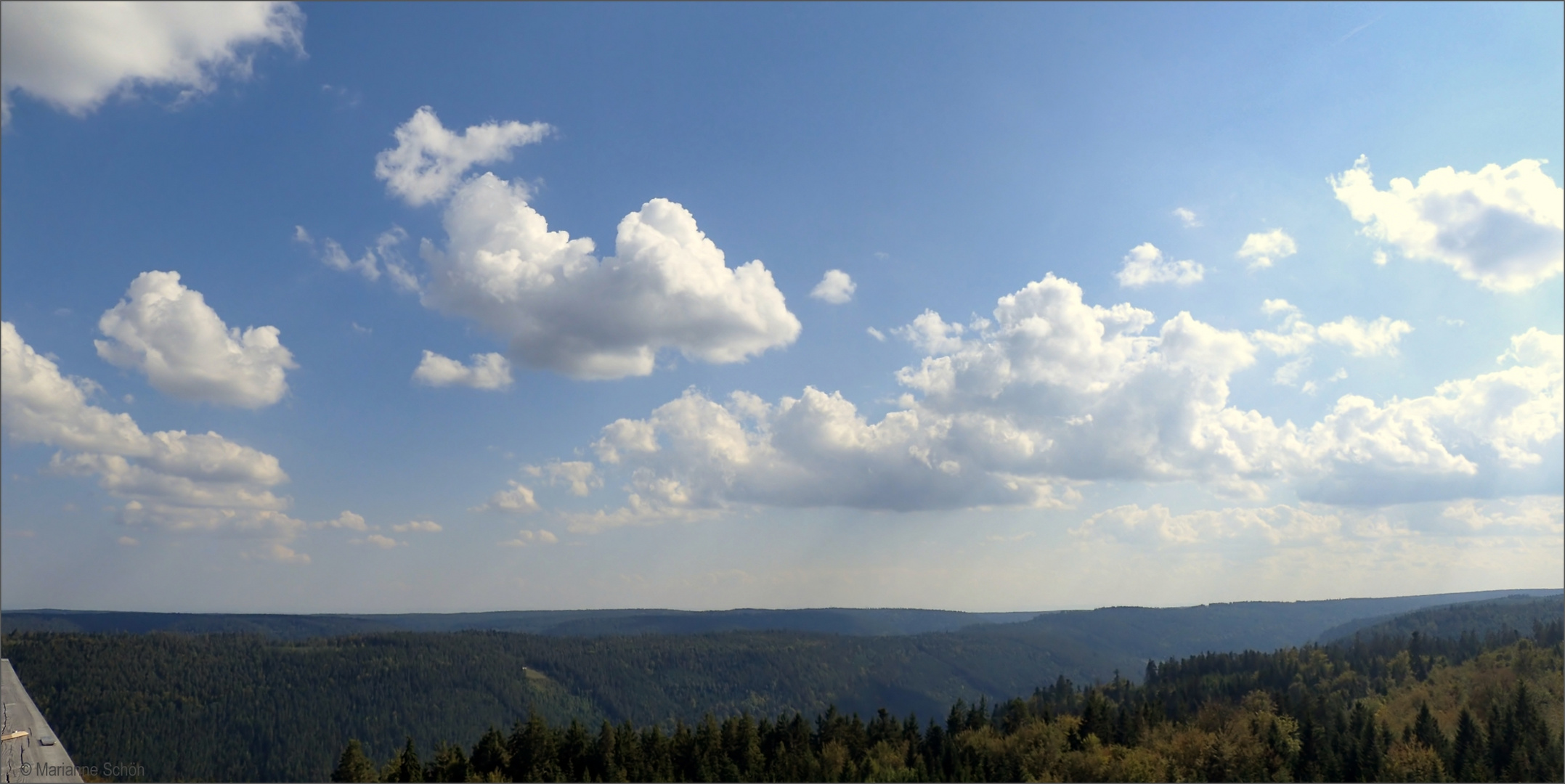  Blick über den Nordschwarzwald...