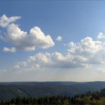  Blick über den Nordschwarzwald...