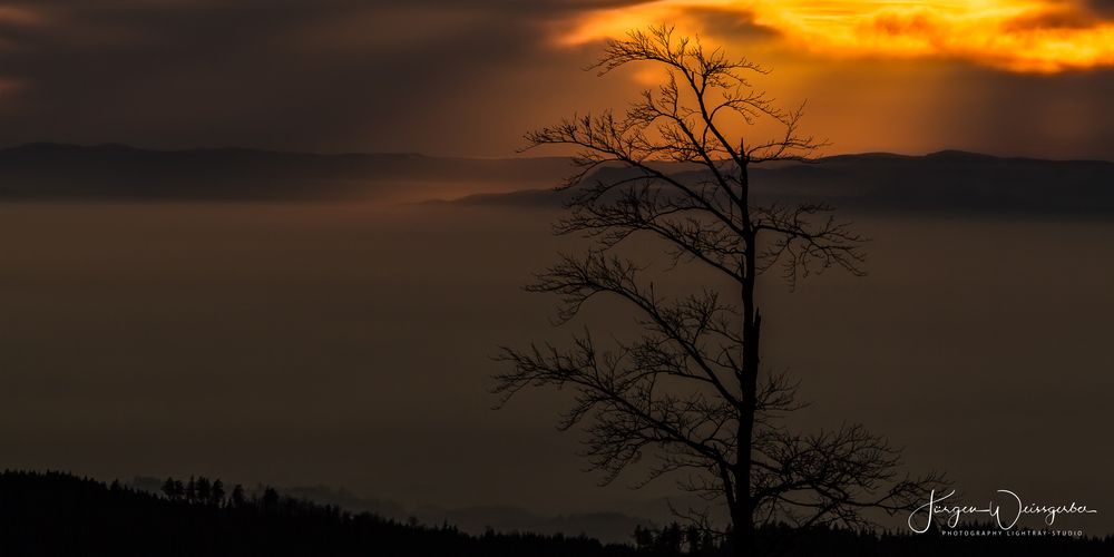 Blick über den Nordschwarzwald