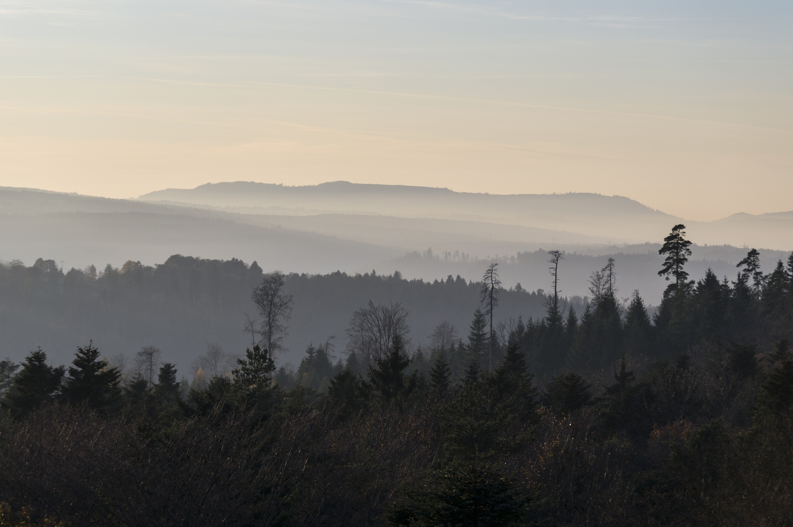 Blick über den Nordschwarzwald