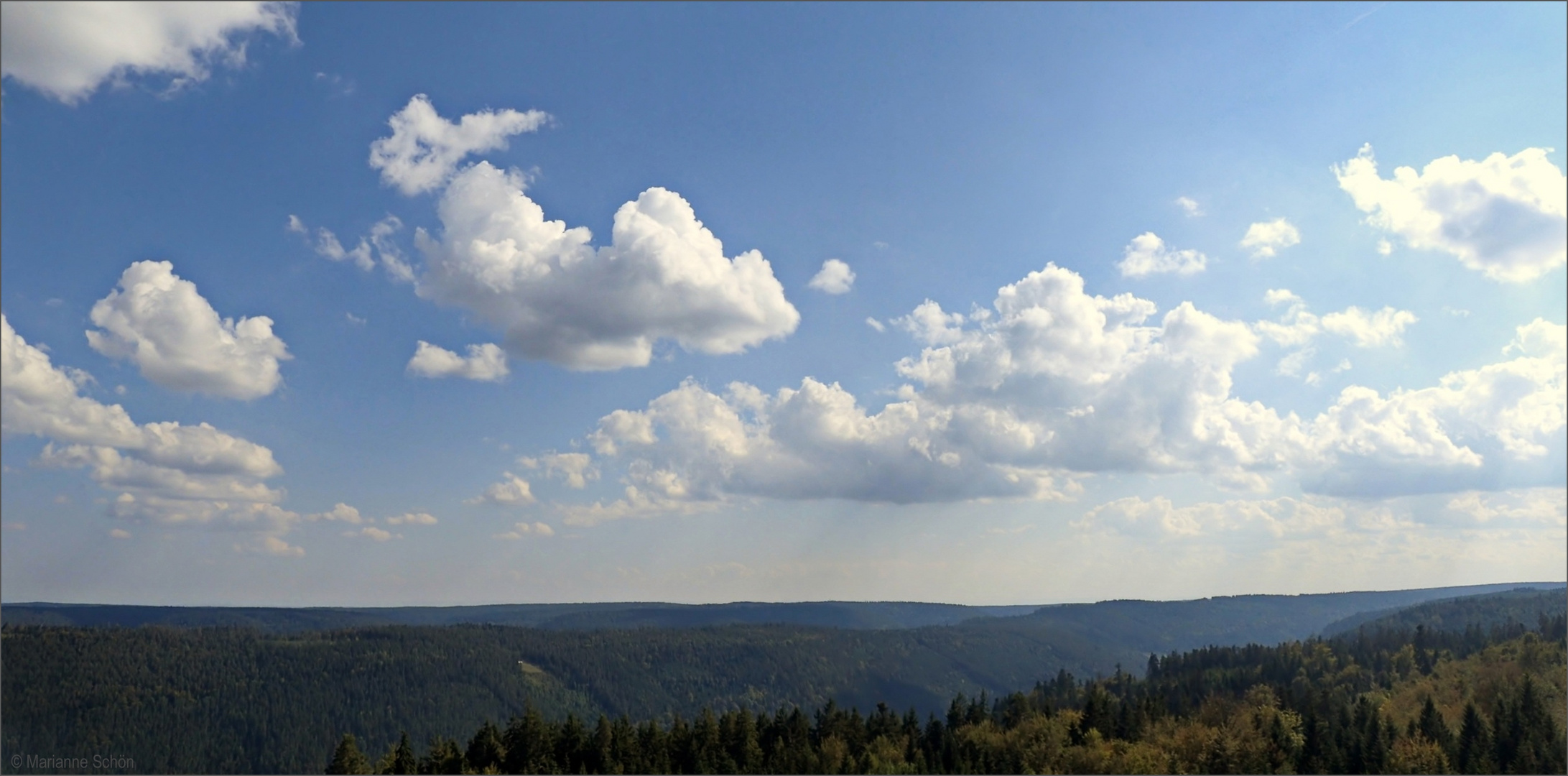  Blick über den Nordschwarzwald...