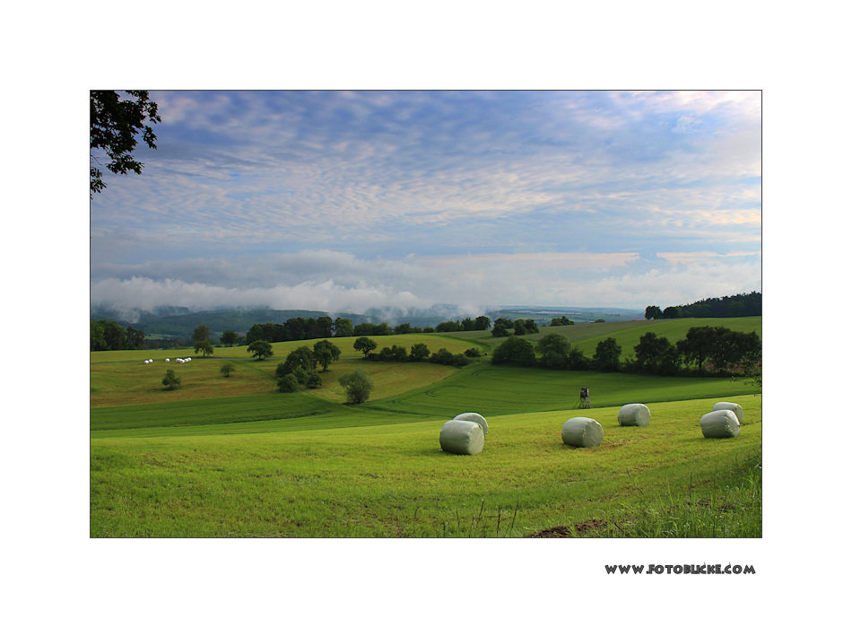 Blick über den Odenwald #3