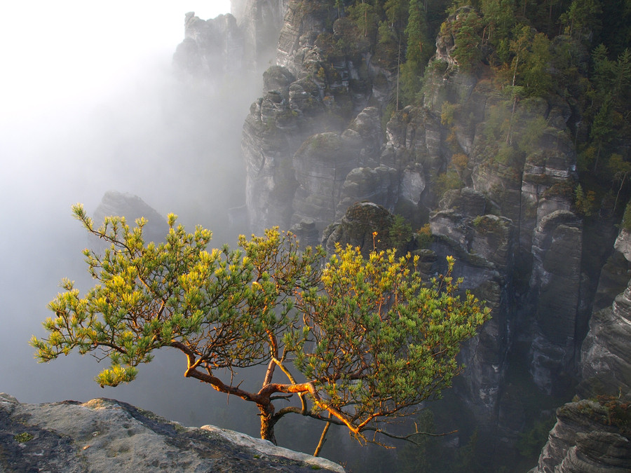 Blick über den Raaber Kessel