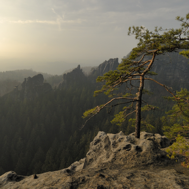 Blick über den Rauschengrund