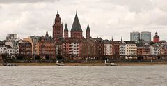 Blick über den Rhein