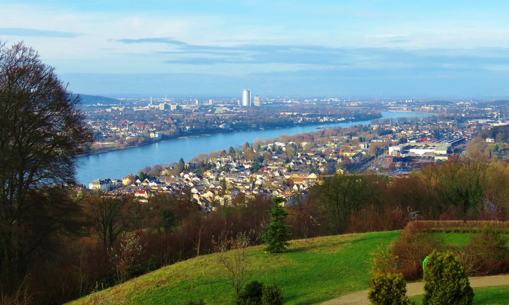 Blick über den Rhein