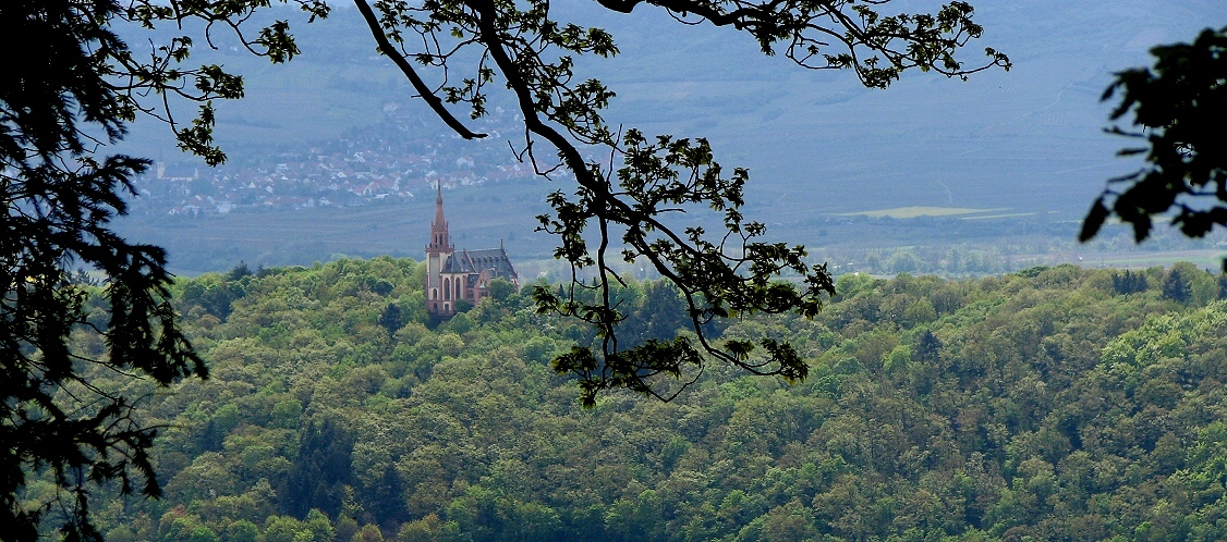 Blick über den Rhein