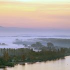 Blick über den Rhein