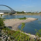 Blick über den Rhein