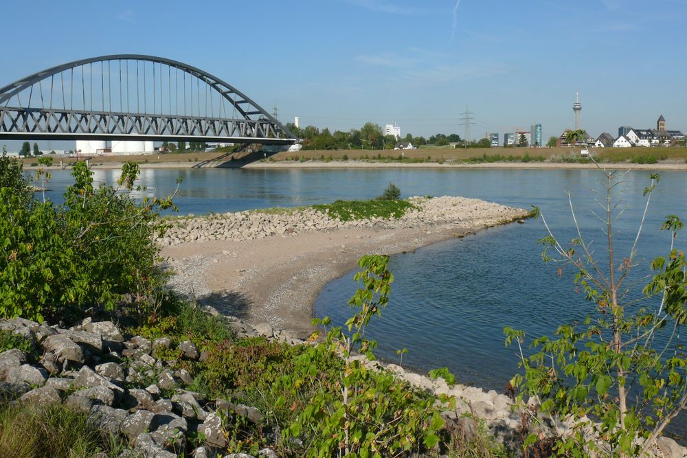 Blick über den Rhein