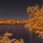 Blick über den Rhein