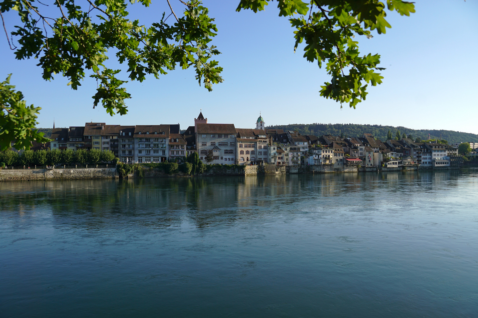 Blick über den Rhein