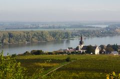 Blick über den Rhein