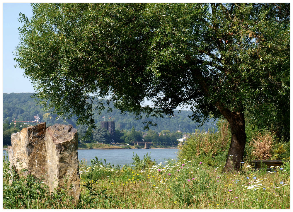 Blick über den Rhein