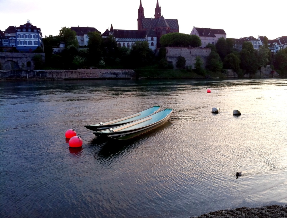 Blick über den Rhein