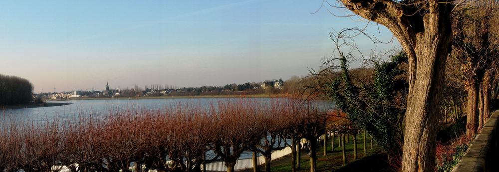 Blick über den Rhein